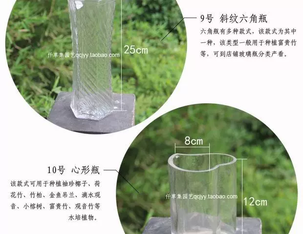 Bình thủy tinh ốc xà cừ chai thủy tinh thịt hoa bình hoa sáng tạo vi cảnh quan sinh thái bình thủy canh - Vase / Bồn hoa & Kệ