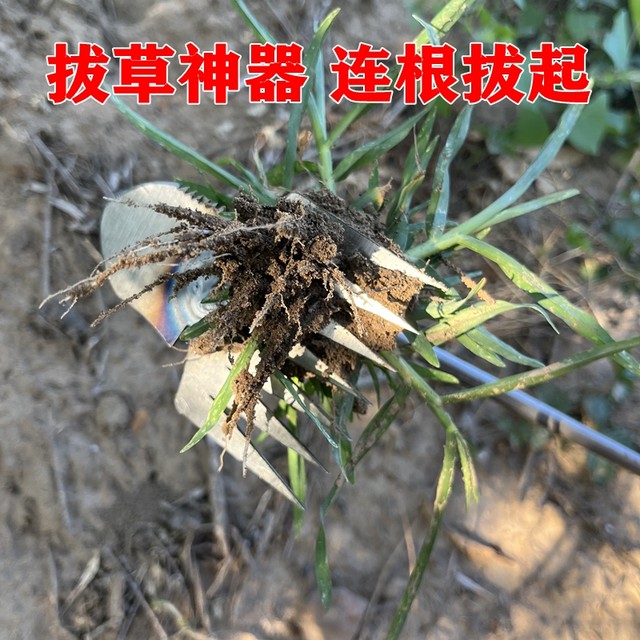 New weeding tool special weeding tool for root shoveling weeds and weeds gardening hand-held flower planting loosen soil and dig wild vegetables