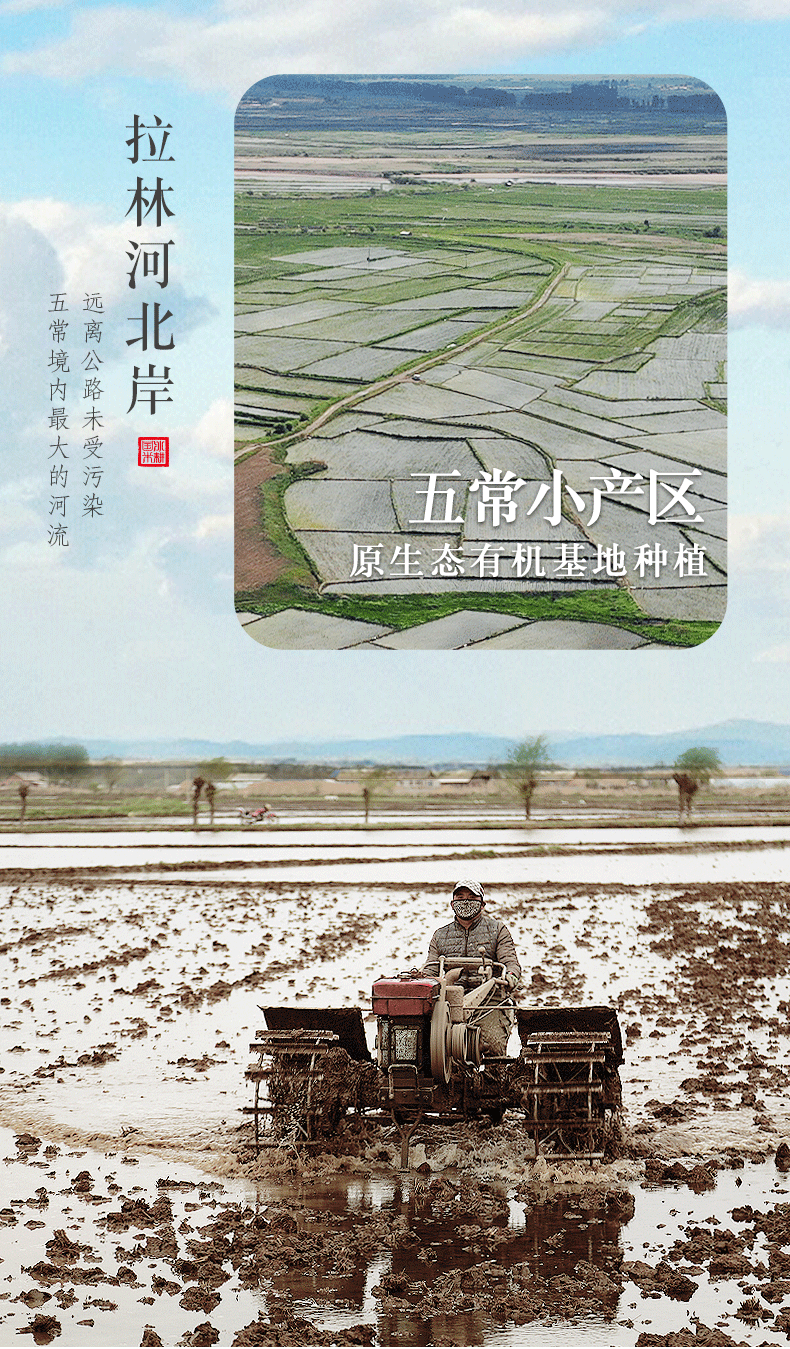 国标认证五常大米 三粮绿珠 冰耕国 生态稻花香 10斤 图7