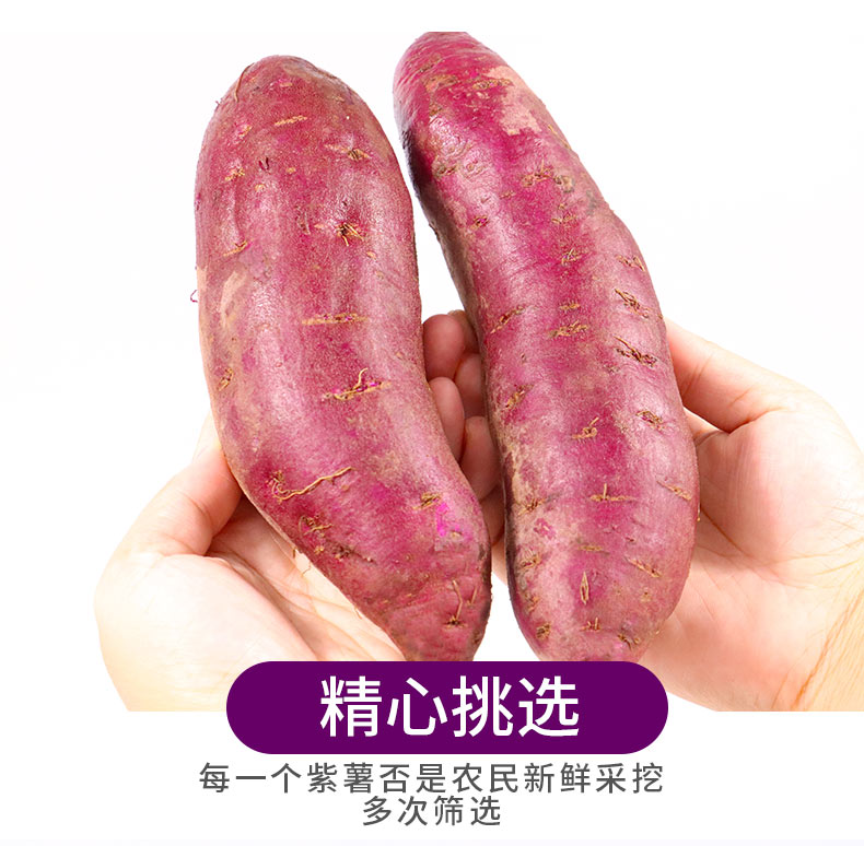 普果诗 现挖新鲜紫薯 10斤 图4