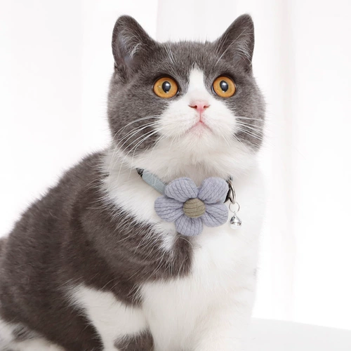 Чокер, милый колокольчик с колокольчиком на солнечной энергии, многоцветное ожерелье, цепочка, кот, домашний питомец, подсолнух