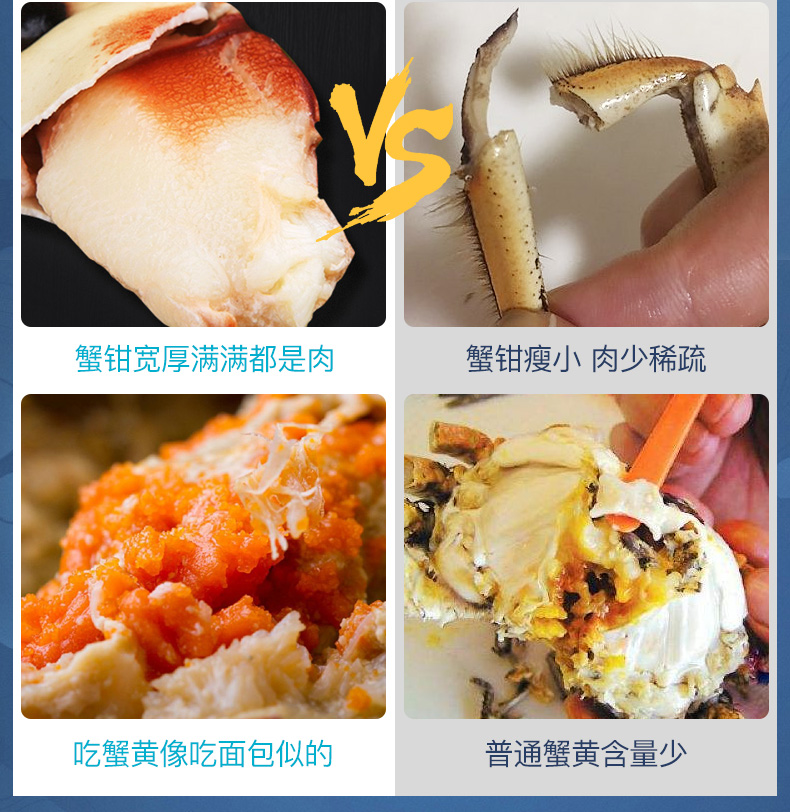 智利进口 鲜活熟冻 面包蟹 300g-400g 3只 图11