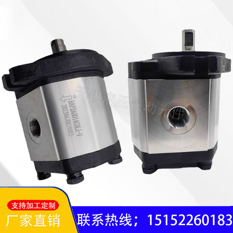 Hydraulic gear BAP2A0D14C0L1-V BAP2A0D14C0L1-V BHP2B2 BHP2A0 BHP2A0 BHP2B1 oil pump-Taobao