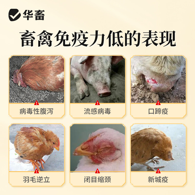 酵博士8%种公猪预混料：解锁种猪高效繁殖的秘密武器！-预混料-淘宝百科网