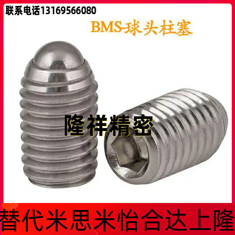 304 stainless steel ball head plunger standard type BMS3 4 5 6 8 10 12 16