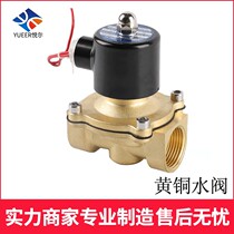 Normally closed electromagnetic valve 2W-250-25 G1 inch gas valve water pipe electronic switch drain pipe control solenoid valve