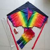 Радужный воздушный змей, пляжная дорожная игрушка