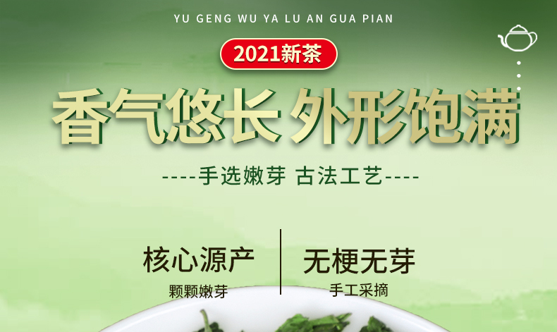 江小茗 21年雨前新茶 特级六安瓜片 250g/罐 图8