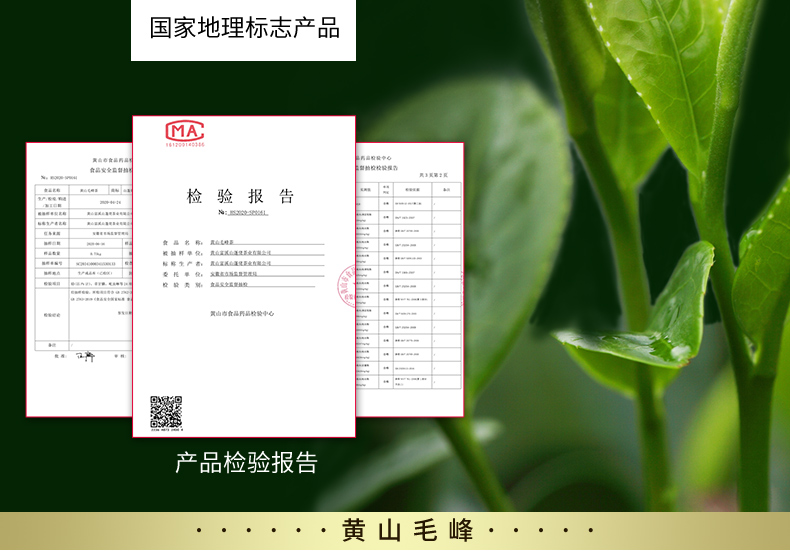 江小茗 特级 安徽黄山毛峰 50g 图5