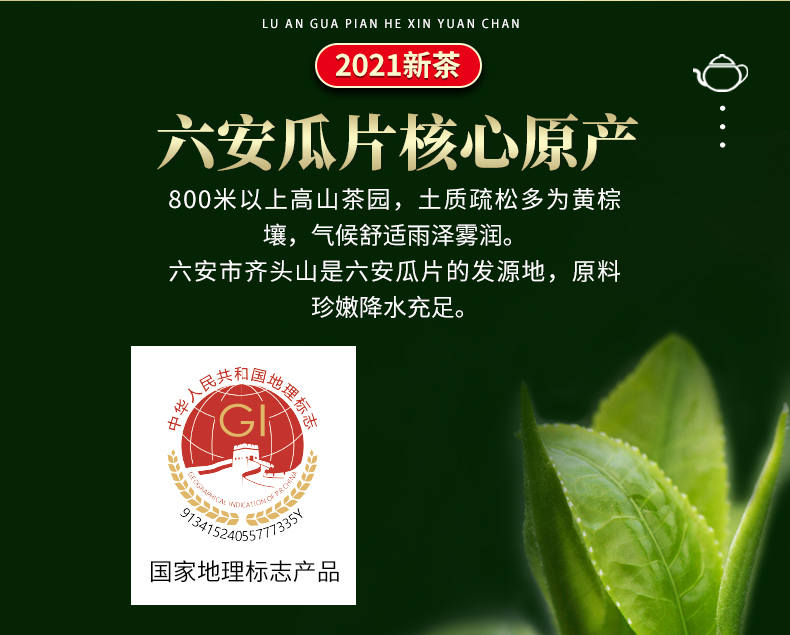 江小茗 21年雨前新茶 特级六安瓜片 250g/罐 图4