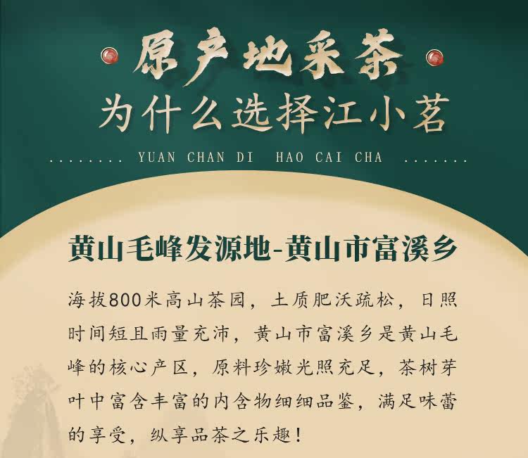江小茗 特级 安徽黄山毛峰 50g 图5