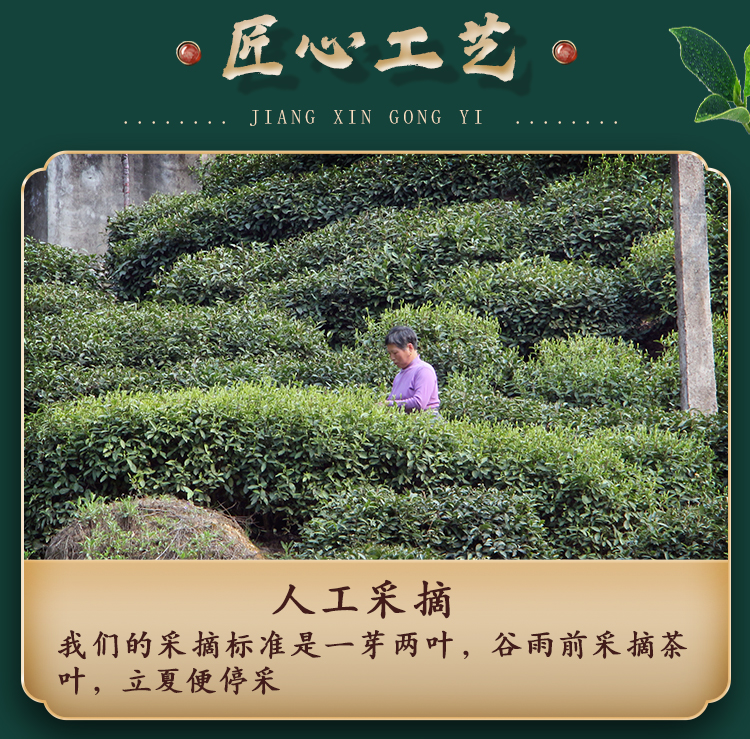江小茗 六安瓜片 125g*2罐 21年雨前新茶 图9