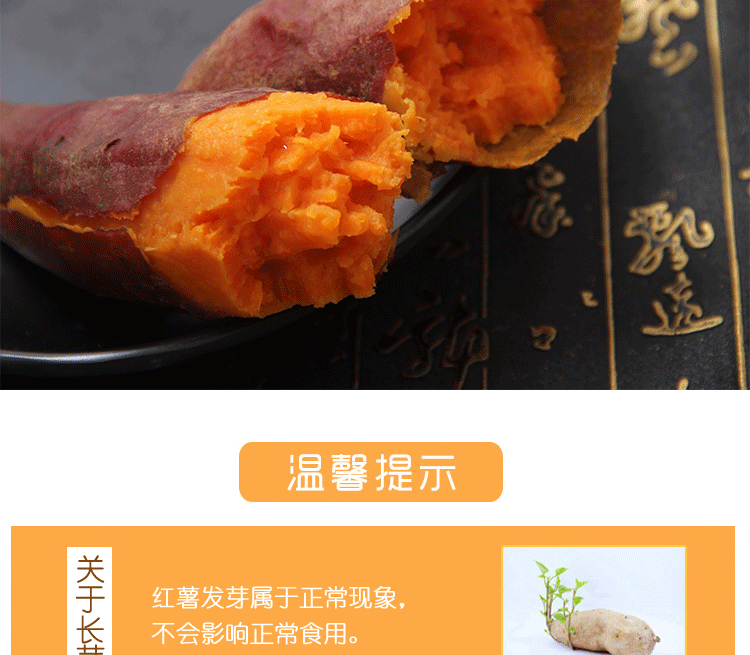 湛江名牌  何爸红薯 新鲜现挖沙地红心蜜薯 9斤盒装 图3