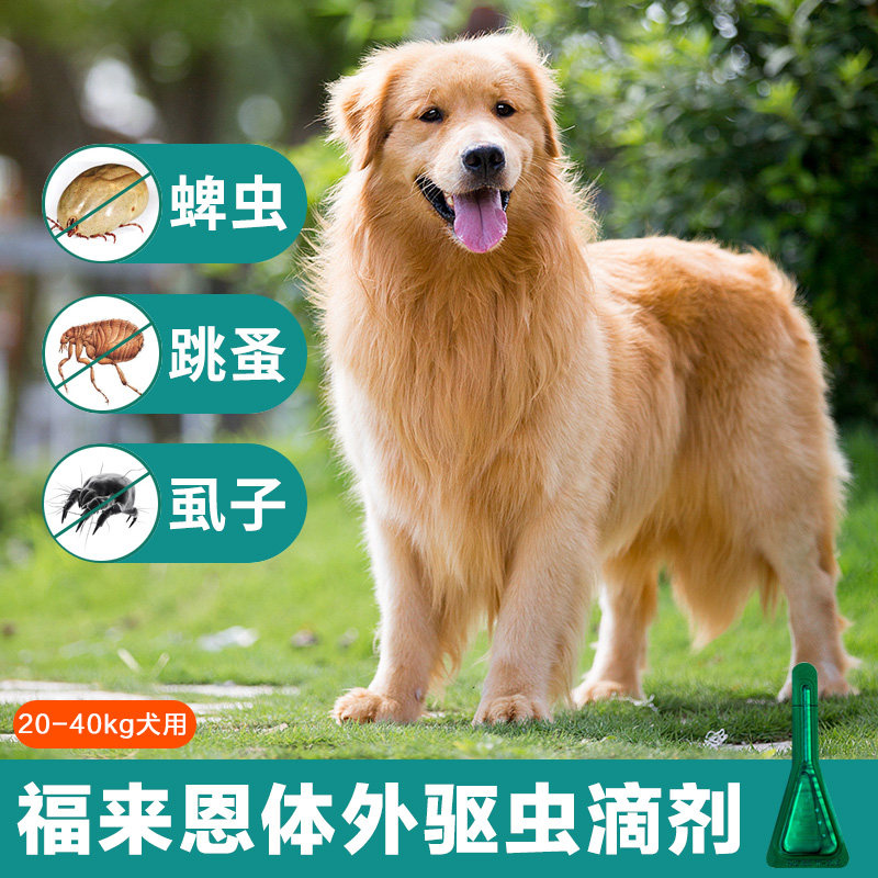 Single Fullgen Large Dog in vitro Insect Repellent Gold puppies Labrador in addition to flea lice drug wall lice