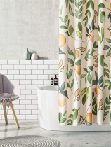 Punch-free magnetic suction bath curtain suit waterproof cloth mildew shower bath toilet thickened partition curtain Japanese bathroom