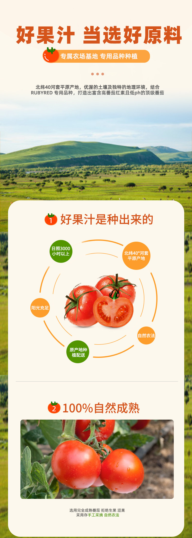 RUBY RED 100%优选原味番茄汁 200ml*6罐 天猫优惠券折后￥18包邮（￥48-30）