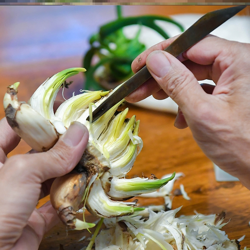 Zhangzhou stainless steel with baffle baffle baffle carving knife multi-flesh gardening tool knife