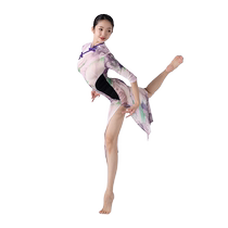 Cheongsam dance clothing classical dance improved practice clothing female high slit sexy mesh national style jazz dance performance clothing
