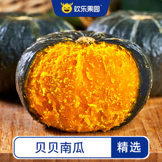 Shandong Beibei pumpkin 5 catties big fruit fresh chestnut small pumpkin baby food supplement origin direct hair FCL