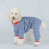 Четвероногий жакет в сине-белую полоску