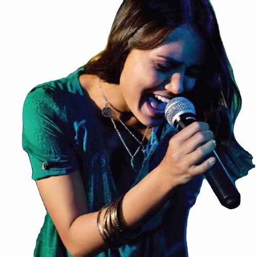 Shure/舒尔 SVX24 288/PG28 58 1 Перетащите два профессионального беспроводного микрофона