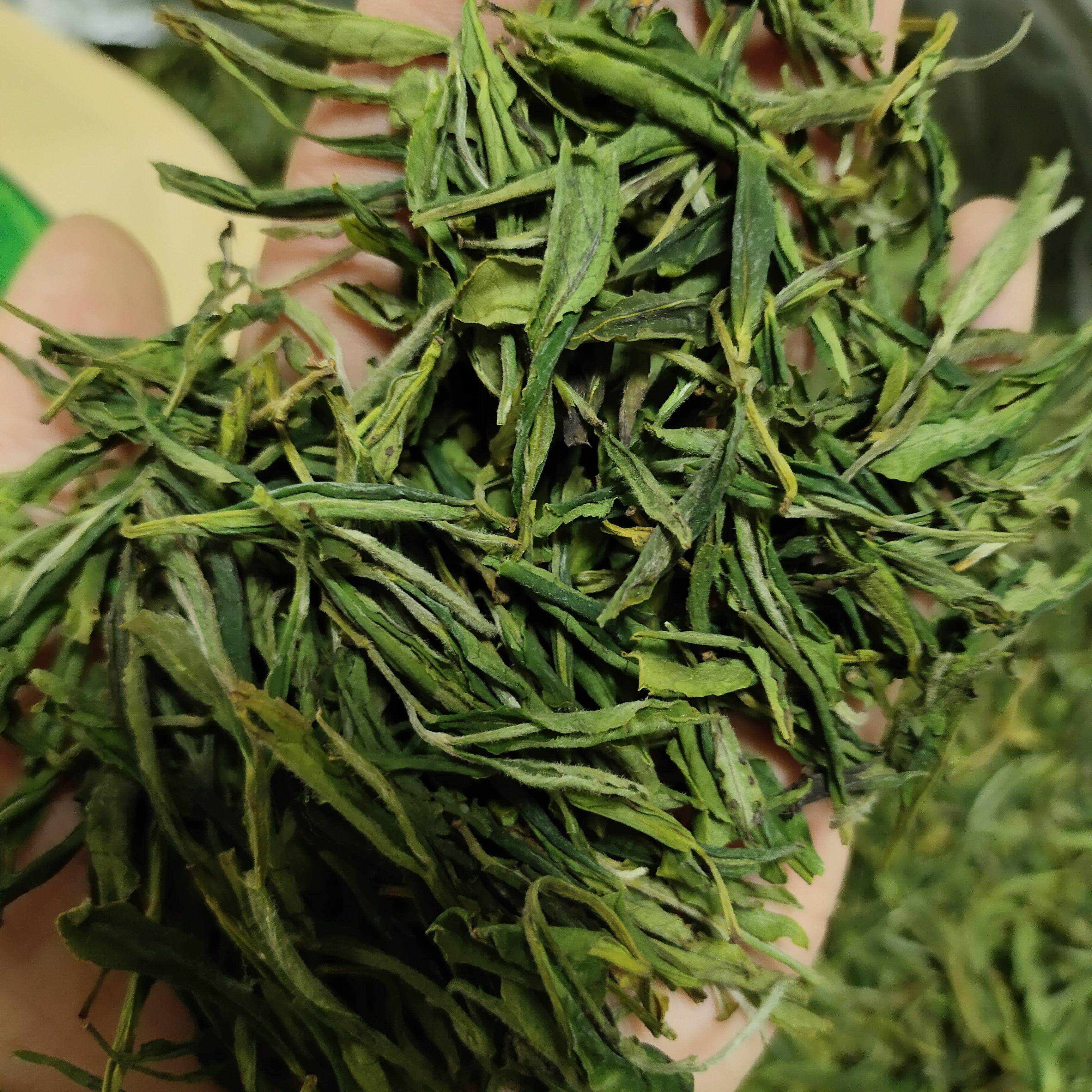 霍山黄芽｜这些人群千万不能喝，建议收藏！