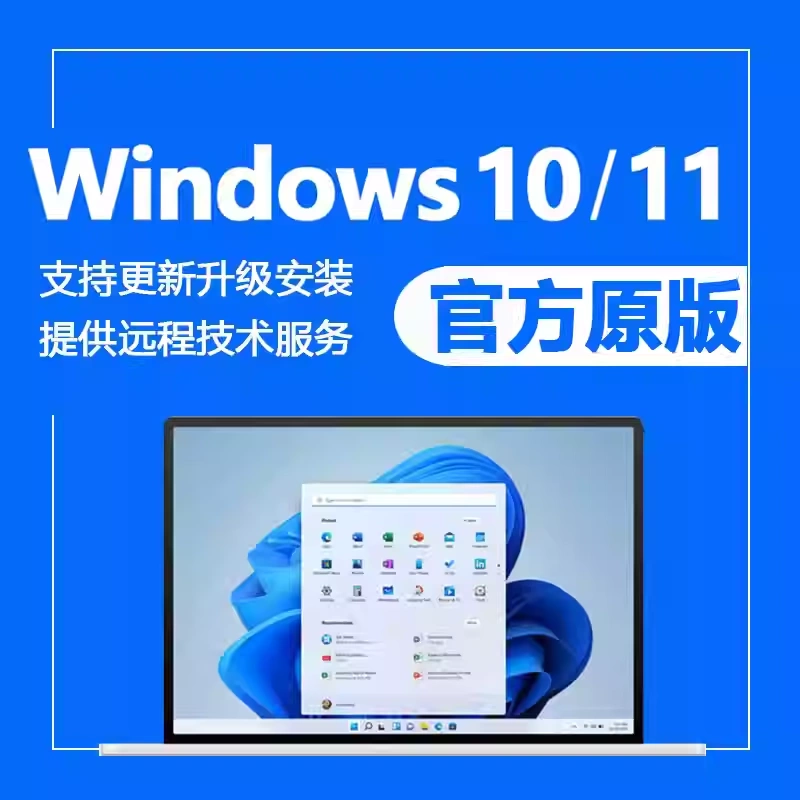 Genuine Windows 10 Computer System Reinstallation Professional Version Windows 10 11 Home Edition Remote Installation Service 11