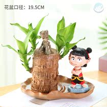 Brazilian Wood Groot study contains basin purification to send girlfriend new gardening small plant creative decoration balcony couple