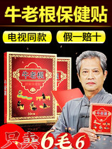 Cattle old root Shuache health care patch TV the same paragraph Liu old root knee sticking neck and shoulder sticking to cows old more health care patch