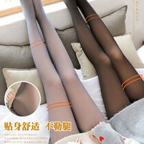 Flight attendant gray one black skin-through leggings women wear spring and autumn thin silk stockings light legged socks artifact autumn and winter plus Velvet