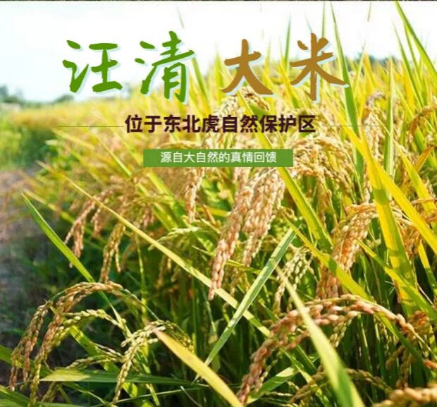 汪清好货优选
