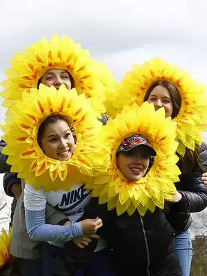Sunflower headgear sunflower face set funny face sunflower hat sports entrance flower headdress dance props