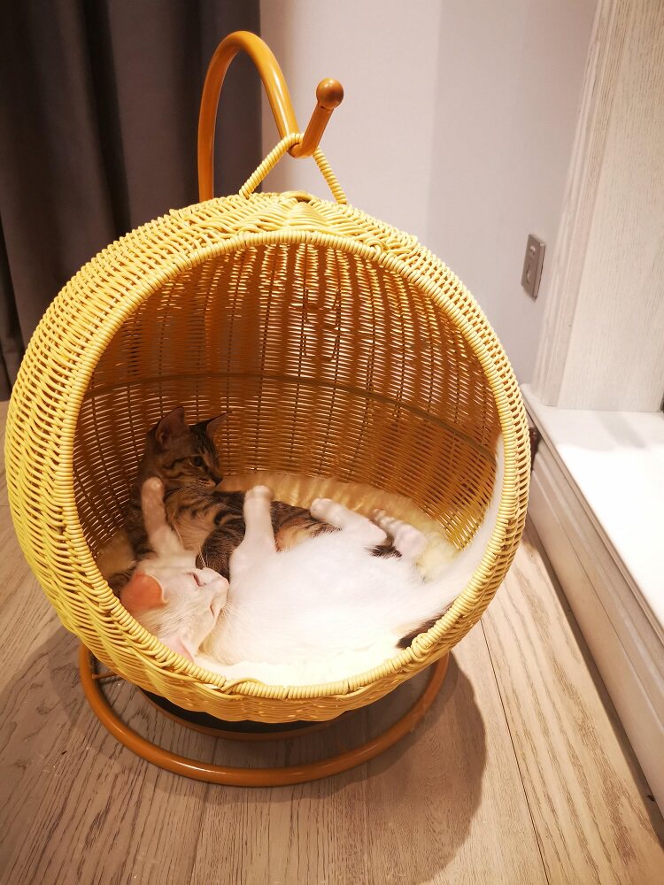 Cat litter, cat supplies, pet nest, four seasons, rattan weaving, large cat bed, mat, cradle, breathable cat litter