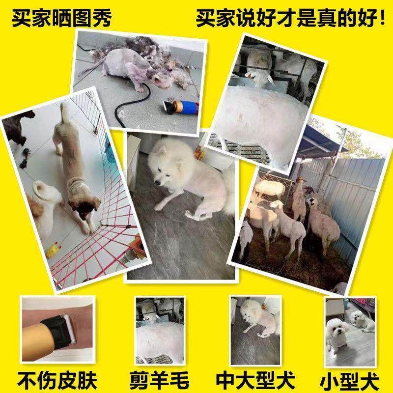 Ножницы 电动羊毛剪羊毛电推子宠物电推剪泰迪狗狗剃毛绵羊绒山羊剃毛