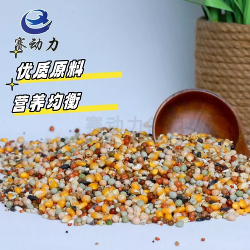 赛动力 Голубиная еда с голубной голубей голубей голубей голубей.