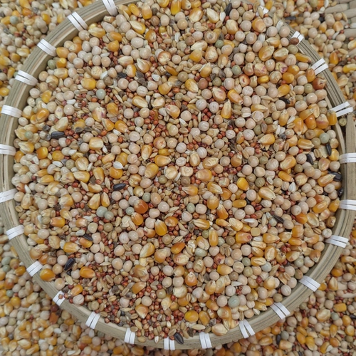 Sai Kuai Sai Jialong Голубиное зерно и кукурузное голубь голубь голубь голубь голубь пища 50 кот.