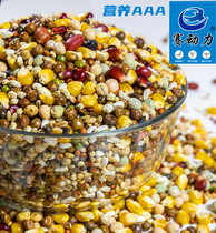 Race power pigeon grain belt corn nutrition 3A pigeon feed pigeon military pigeon ornamental pigeon meat pigeon bird food 50kg