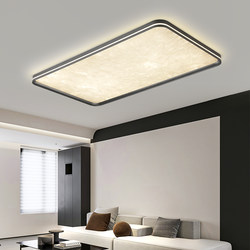 Italian Minimalist Living Room Ceiling Lamp 2026 New Model Hall Main Light Creative Enamel Ice Flower Full Spectrum Eye Protection Lamp