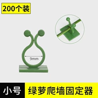 200 стеновых артефактов 200 [диаметр надгробной диаметры 9 мм]