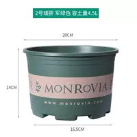 Карликовая жир 2 (5 установки)