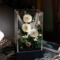 Preserved flower dandelion best-selling teachers day gift best friend souvenir gift