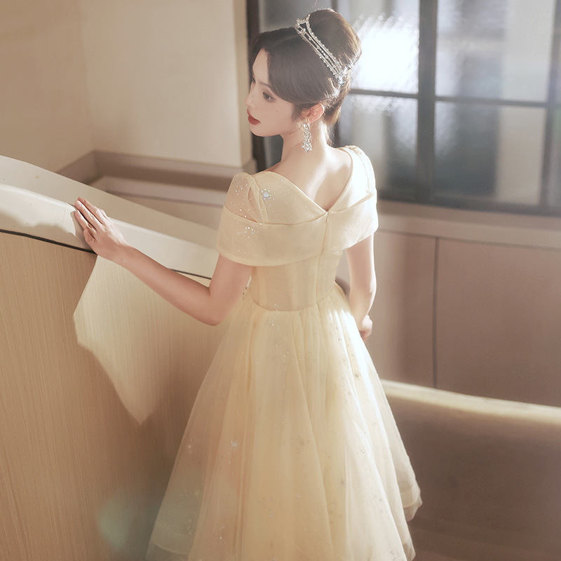 Evening dress, skirt, champagne color, suitable for teen, Birthday gift Evening dress, skirt, champagne color, suitable for teen, Birthday gift
