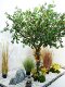 Large Artificial Osmanthus Tree Green Plant Fake Tree Potted Plant Indoor Shopping Mall Hotel Living Room Window Display Floor-Standing Floral Decoration