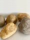 New Simulated Suspended Rainforest Landscape Stone Floral Arrangement Soft Decoration Window Display Succulent Plant Photography Props Large Pebble Artificial Stone