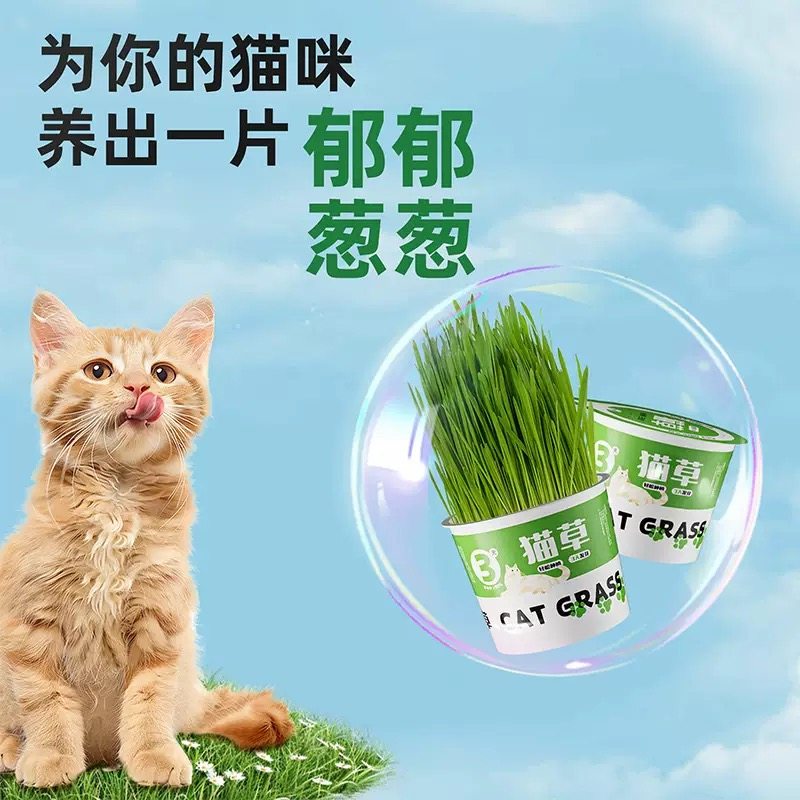 懒人猫草罐真的能代替猫砂吗？2026养宠新趋势全解