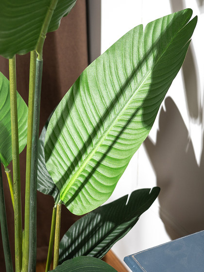 Artificial Green Plant Traveler's Banana Plant Bird of Paradise Fake Tree Indoor Living Room Potted Large Plant Floor-Standing Decorative Ornament
