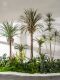 Large Artificial Green Plant Indoor Hotel Window Clothing Store Dragon Blood Tree Bonsai Green Plant Landscaping Decorative Ornaments
