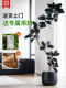 High-End Simulated Green Plants, Black Diamond Rubber Trees, Potted Plants, Indoor Living Room, Artificial Trees, Shopping Mall Landscaping Ornaments