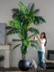 Large Luxury Artificial Green Plant, Artificial Areca Palm for Living Room Decoration, Fake Coconut Tree, Floor-Standing Potted Plant, Artificial Plant Ornament