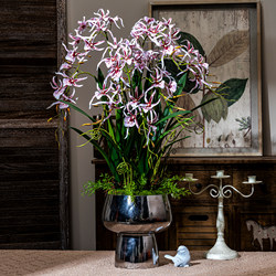 Simulated Phalaenopsis Orchid, High-End Artificial Flower, Plastic Flower Decoration, Indoor Living Room Decoration, Tv Cabinet, Dining Table Atmosphere Decoration